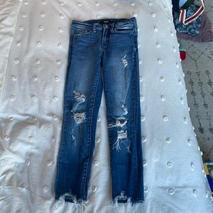 Vervet Distressed Skinny Jean